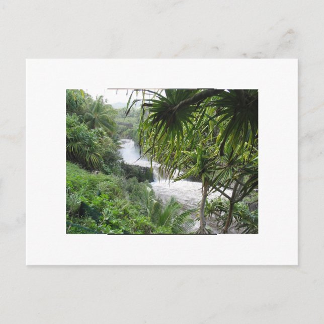 Carte Postale Hana, MAUI (Devant)