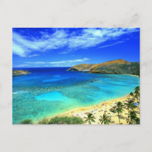 Carte Postale Hanauma Bay Beach Aloha !