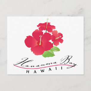 Carte Postale Hanauma Bay Hawaii - Fleur d'Hibiscus rouge