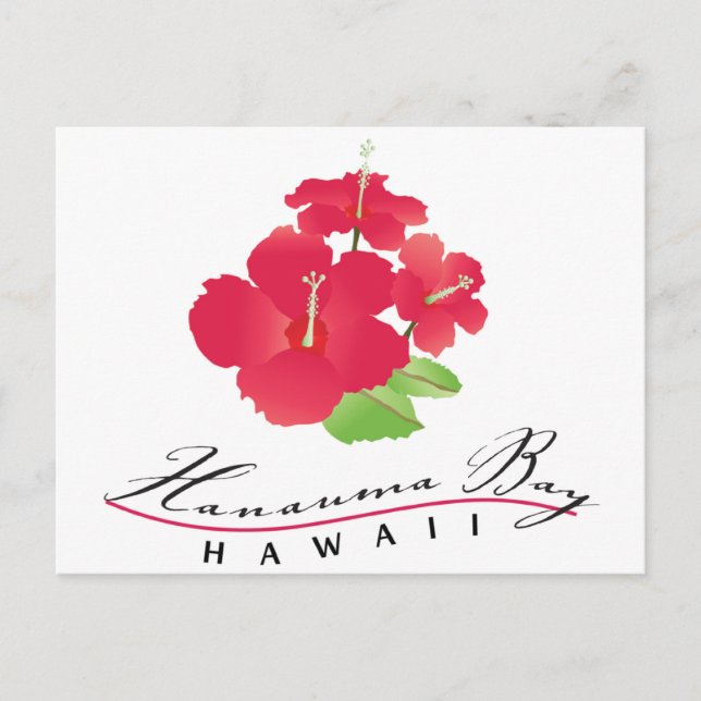 Carte Postale Hanauma Bay Hawaii - Fleur d'Hibiscus rouge (Devant)