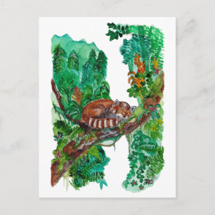 Carte Postale Hand Painted Sleeping Red Panda Watercolor Art