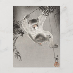 Carte Postale Hangée De Singe De La Branche De Bambou, Koson, An