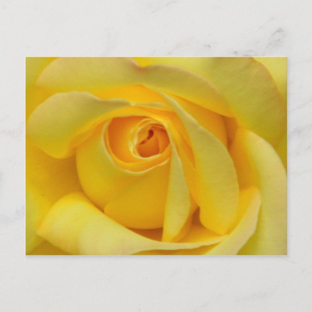 Carte Postale Happiness_ (Devant)