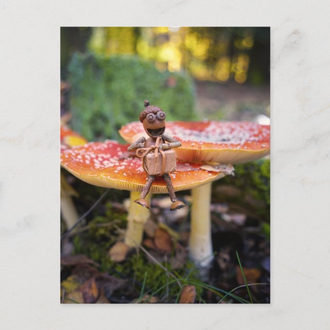 Carte Postale Happy Acorn Elf Birthday Greeting Card (Devant)