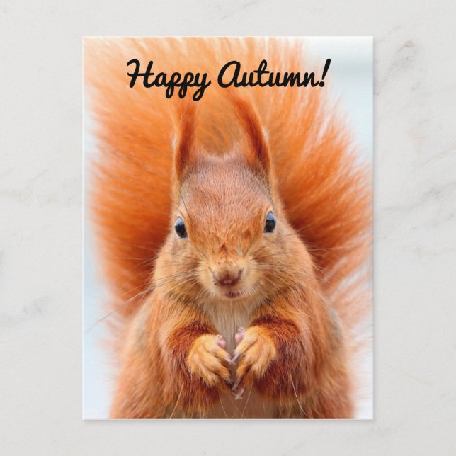 Carte Postale Happy Autumn Squirrel (Devant)