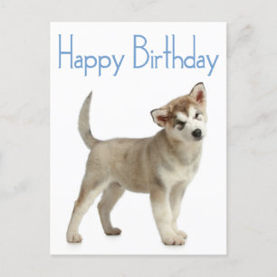 Carte Postale Happy Birthday Alaskan Malamute Puppy Dog Postcard