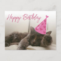 happy birthday cute funny cat with hat sleeping