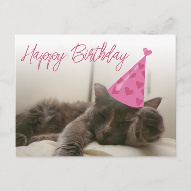 Carte Postale happy birthday cute funny cat with hat sleeping (Devant)