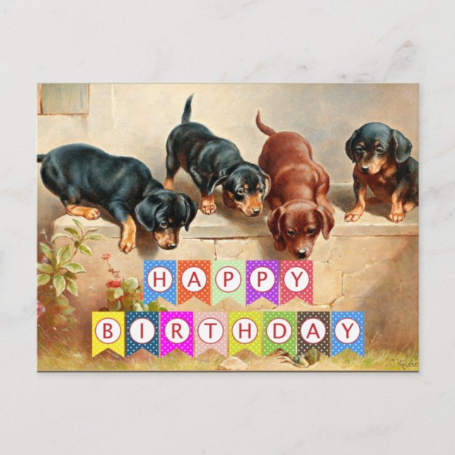 Carte Postale Happy Birthday, Dachshund puppies, (Devant)