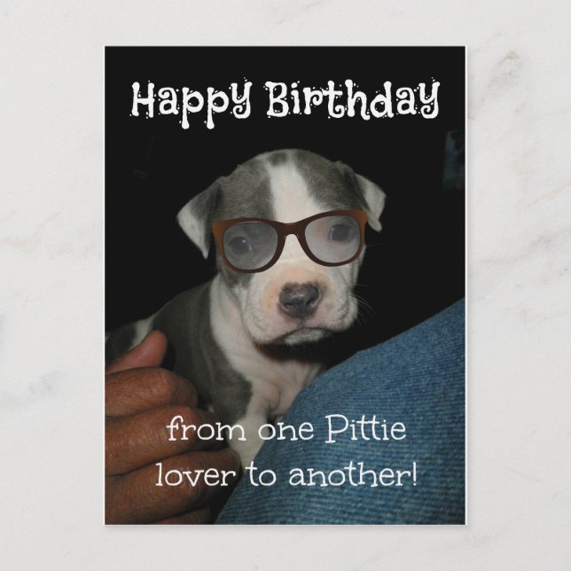Carte Postale Happy Birthday Pittie (Devant)
