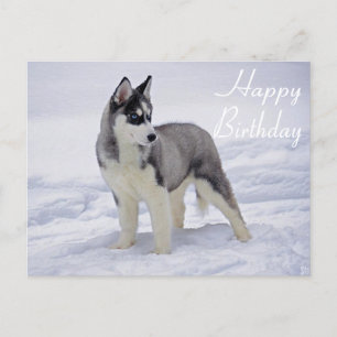 Carte Postale Happy Birthday Siberian Husky Puppy Dog Post Card