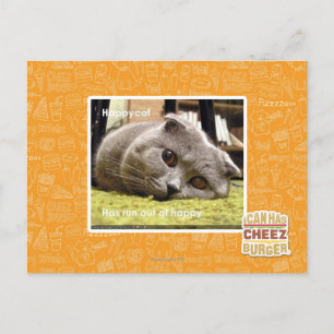 Carte Postale Happy cat, de happy
