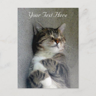Carte postale Happy Cat personnalisable