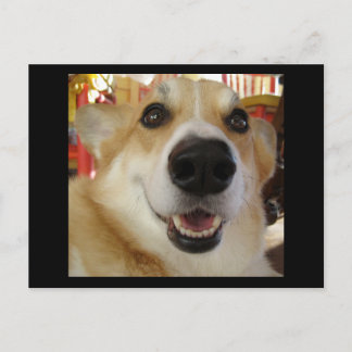 Carte postale Happy Corgi