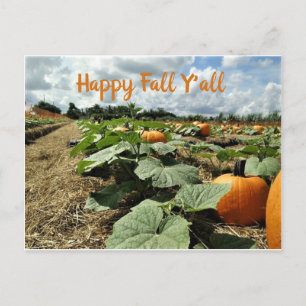 Carte Postale Happy Fall Citrouilles in a Patch Photo