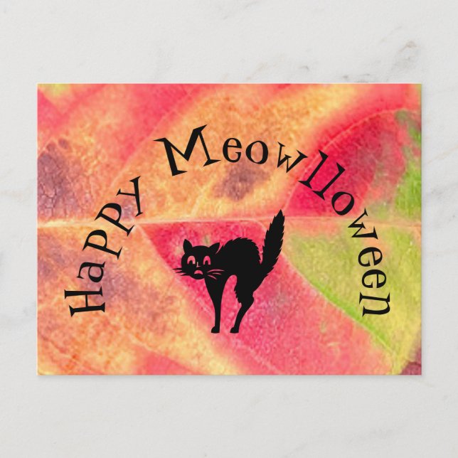 Carte Postale Happy Halloween Cat Meow Postcard (Devant)