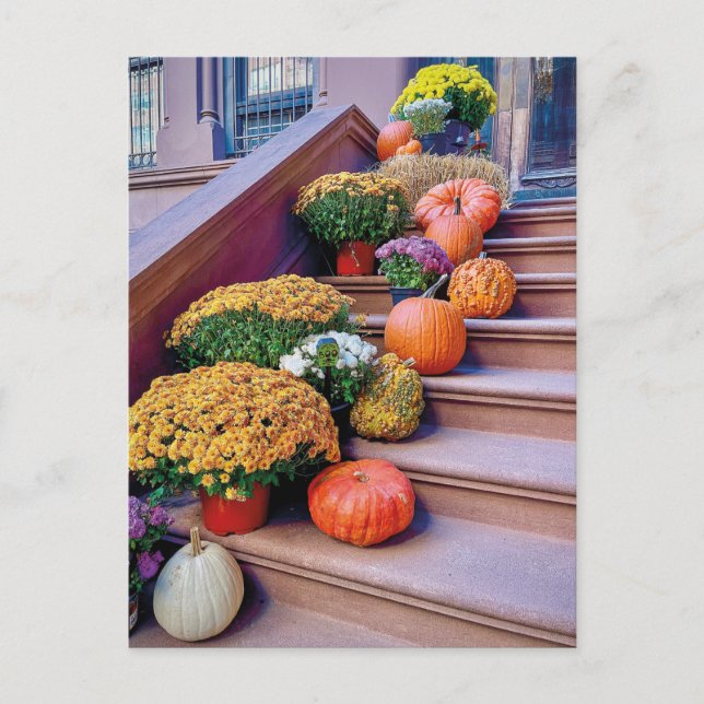 Carte Postale Happy Halloween Citrouille Stairs New York Postcar (Devant)