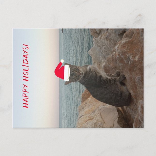 Carte postale Happy Holidays Photo Chat