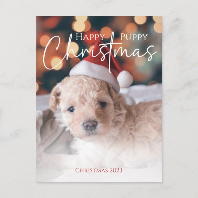 Carte Postale Happy Puppy Christmas photo (Devant)