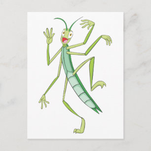 Carte Postale Happy Stick Insect