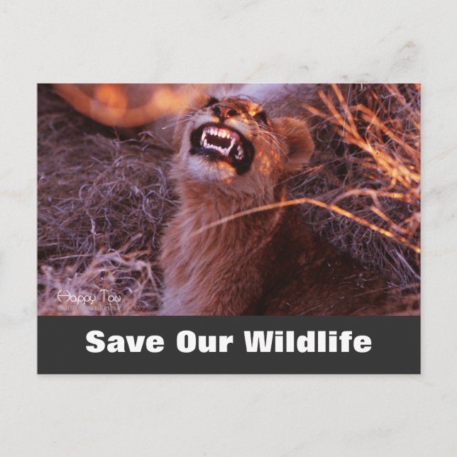 Carte Postale Happy Tau, Save Our Wildlife Postcard (Devant)