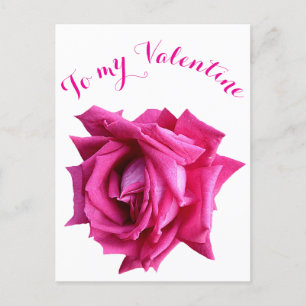 Carte Postale Happy Valentine joli rose chaud rose classe floral