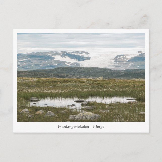 Carte Postale Hardangervidda Norvège (Devant)