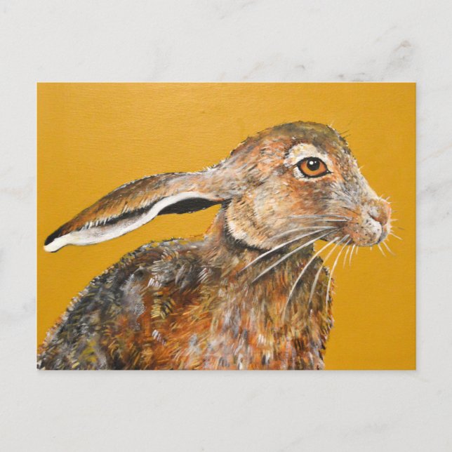 Carte Postale Hare aujourd'hui, parti demain (Devant)