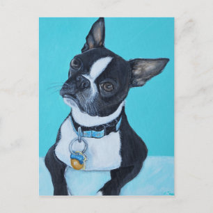 Carte Postale Haricots the Boston Terrier Painting