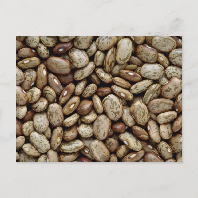 Carte Postale Haricots Yummy Pinto (Devant)