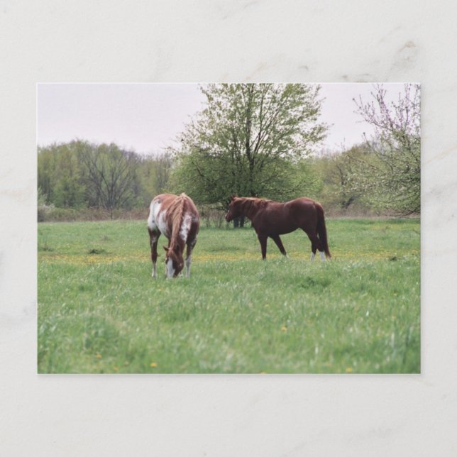 Carte postale Harley & Lady (Devant)