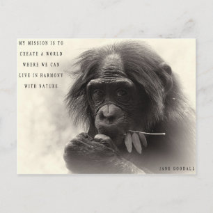 Carte Postale Harmonie Avec La Nature