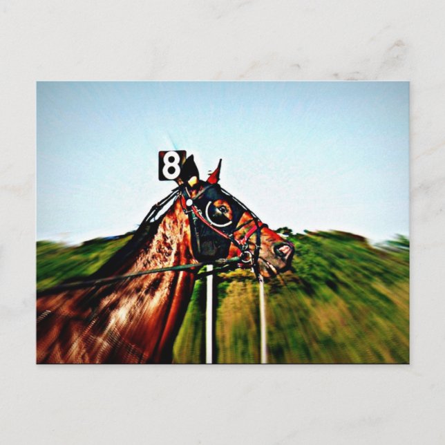 Carte postale Harness Racing (Devant)