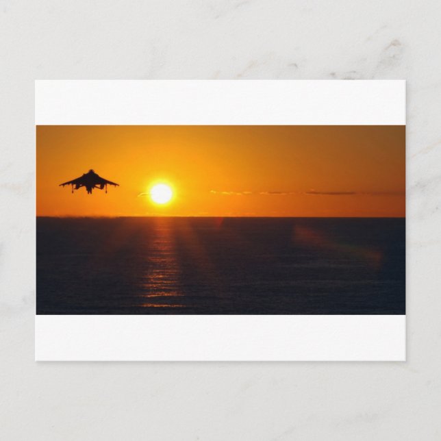 CARTE POSTALE "HARRIER SCELER" (Devant)
