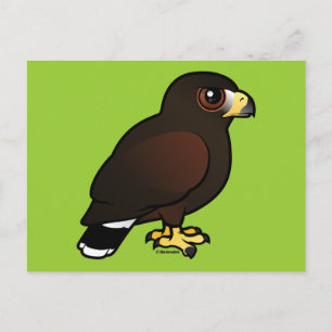 Carte Postale Harris Hawk