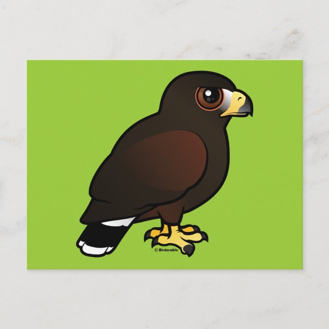 Carte Postale Harris Hawk (Devant)