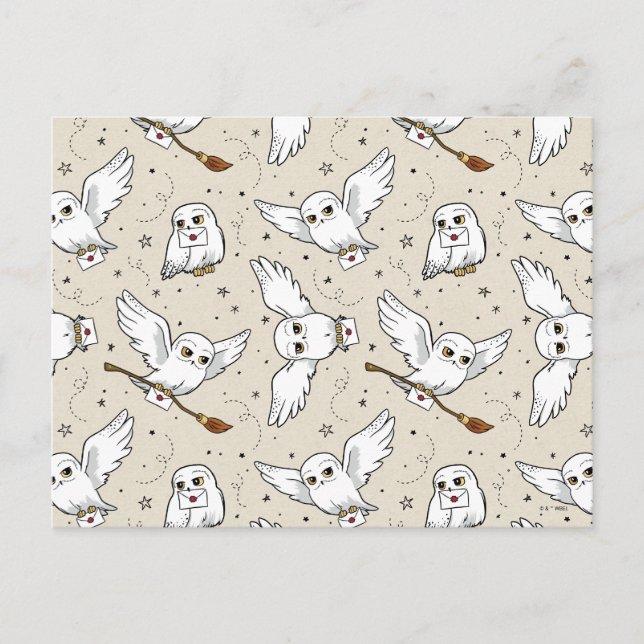 Carte Postale Harry Potter | Motif Hedwig (Devant)