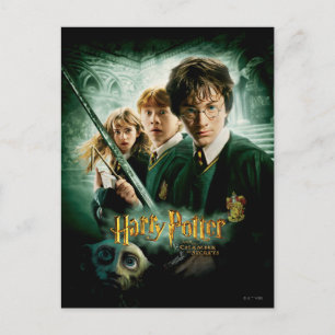 Carte Postale Harry Potter Ron Hermione Groupe Dobby Saisie