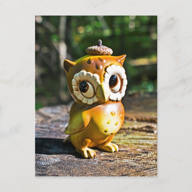 Carte Postale Harvey the Owl III (Devant)