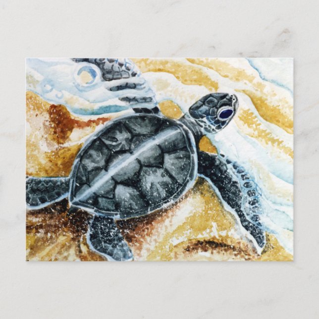 Carte Postale Hatchling de Honu (Tortue de mer verte) (Devant)