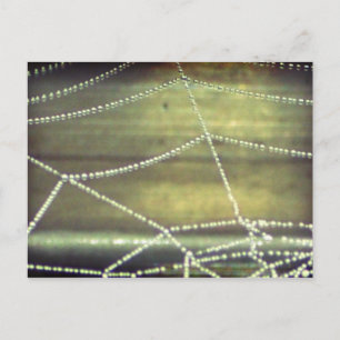 Carte Postale Hauné