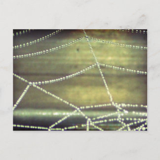 Carte Postale Hauné
