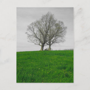 Carte Postale haut