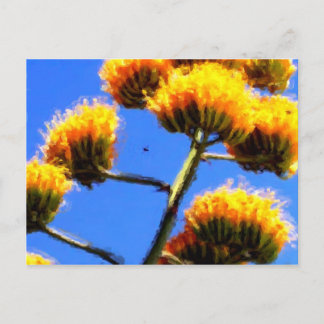 Carte postale haut