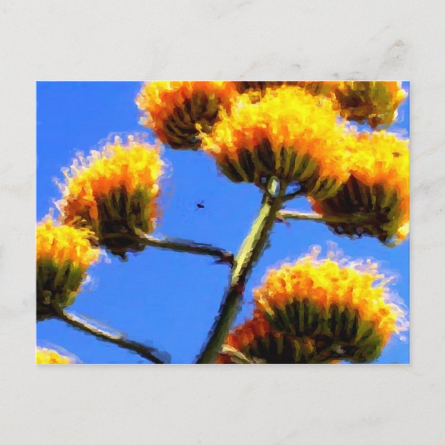 Carte postale haut (Devant)