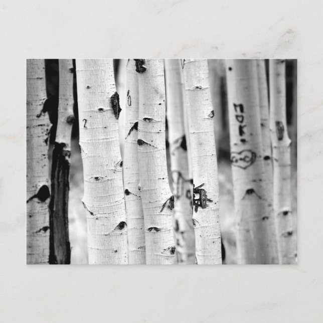 Carte Postale Haut Aspen (Devant)