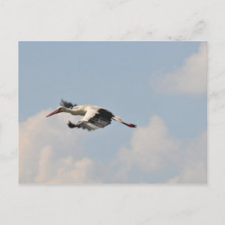 Carte Postale Haut dans le ciel