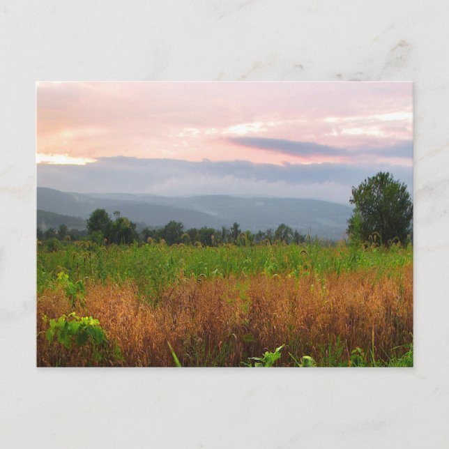 Carte Postale Haut de la colline au coucher du soleil (Devant)