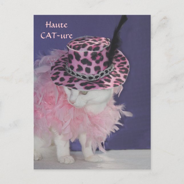 Carte Postale Haute CAT-ure (Devant)