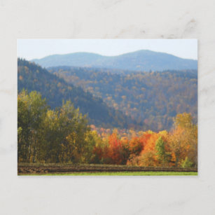 Carte Postale Hauts sommets Adirondacks Forêt Montagnes d'automn